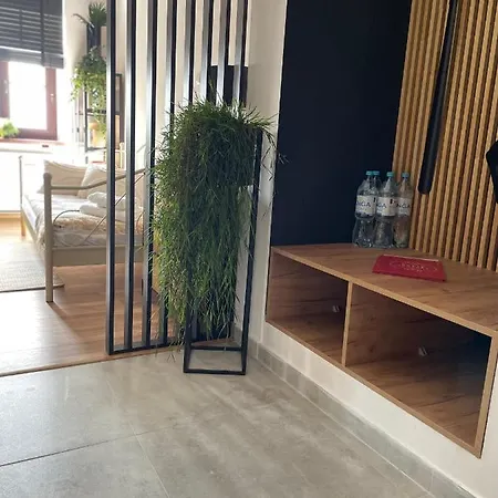 Apartamenty Luczkowskiego Z Widokiem Na Studnie 2 Chelm Exterior photo